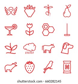 Nature icons set. set of 16 nature outline icons such as hippopotamus, sparrow, sun, cow, honey, wings, mop, pear, raspberry, bag with ground, sprout, flower, cocktail, plant