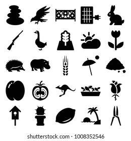 Nature icons. set of 25 editable filled nature icons such as peach, lemon, hedgehog, kangaroo, hippopotamus, spa stones, fence, nesting house, ground heap, cactus, flower