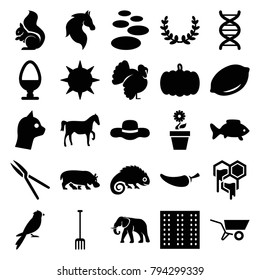 Nature icons. set of 25 editable filled nature icons such as field, pumpkin, lemon, elephant, horse, squirrel, turkey, spa stone, cat, pepper, fish, pitchfork, garden tools
