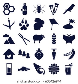 Nature icons set. set of 25 nature filled icons such as rabbit, sunflower, oil, pine tree, animal paw, footprint of  icobird, sheep, parrot, beetle, kite, honey, garden tools