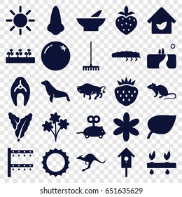 Nature icons set. set of 25 nature filled icons such as fish, orange, spinach, mouse, buffalo, kangaroo, seal, mouse toy, nose, bowl, flower, rake, irrigation system