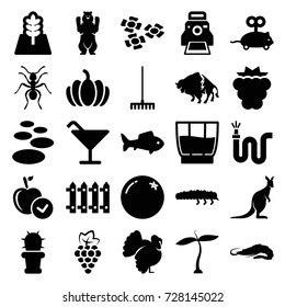 Nature icons set. set of 25 nature filled icons such as plant, orange, mulberry, grape, alligator, bear, buffalo, ant, kangaroo, turkey, mouse toy, apple, cocktail, rake