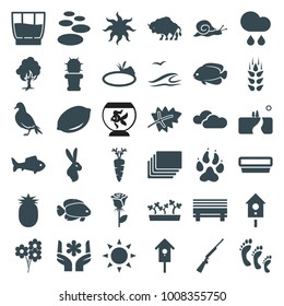 Nature icons. set of 36 editable filled nature icons such as wheat, sun, leaf, lemon, animal paw, dove, fish, snail, rose, spa stone, nesting house, carrot, bench, cactus