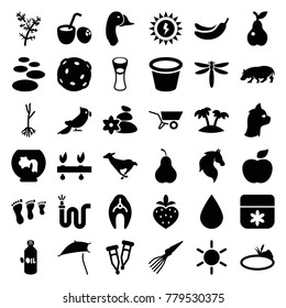 Nature icons. set of 36 editable filled nature icons such as fish, oil, sun, horse, hippopotamus, flower, banana, spa stone, family footprint, aquarium, milk glass, water hose
