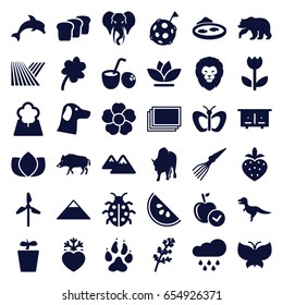 Nature icons set. set of 36 nature filled icons such as field, deel, beehouse, animal paw, hog, bear, lion, buffalo, elephant, pyramid, photos, butterfly, lotus, apple, clover