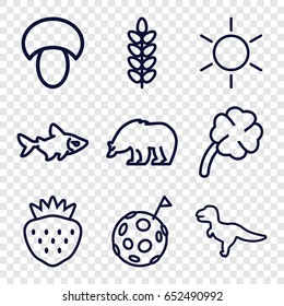 Nature icons set. set of 9 nature outline icons such as sun, bear, fish, mushroom, strawberry, clover, dinosaur, flag on moon