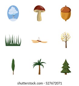 Nature icons set. Cartoon illustration of 9 nature vector icons for web