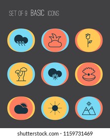 Nature icons set with clear sunrise, shrub, snowy weather and other seashell elements. Isolated vector illustration nature icons.