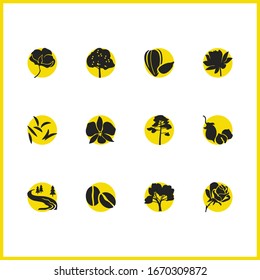 Nature icons set with coffee bean, lotus and maple tree elements. Set of nature icons and foliage concept. Editable vector elements for logo app UI design.
