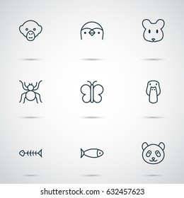 Nature Icons Set. Collection Of Baboon, Diver, Spider And Other Elements. Also Includes Symbols Such As Cobweb, Panda, Arachnid.