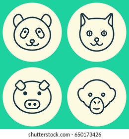 Nature Icons Set. Collection Of Bear, Baboon, Kitten And Other Elements. Also Includes Symbols Such As Cat, Chimpanzee, Pussy.