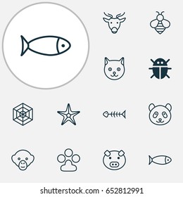Nature Icons Set. Collection Of Beetle, Cobweb, Starfish And Other Elements. Also Includes Symbols Such As Starfish, Star, Animal.