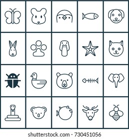 Nature Icons Set. Collection Of Beetle, Fish, Bunny And Other Elements. Also Includes Symbols Such As Reptile, Globefish, Aquarium.