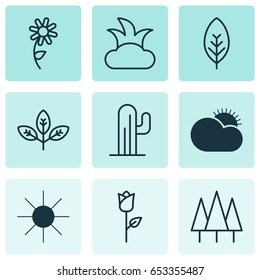 Nature Icons Set. Collection Of Cactus, Love Flower, Sunflower And Other Elements. Also Includes Symbols Such As Foliage, Forest, Sunlight.