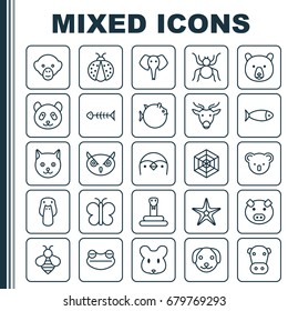 Nature Icons Set. Collection Of Cobweb, Bear, Kitten And Other Elements. Also Includes Symbols Such As Reptile, Kitten, Starfish.