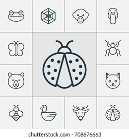 Nature Icons Set. Collection Of Cobweb, Baboon, Goose And Other Elements. Also Includes Symbols Such As Panda, Honey, Cat.