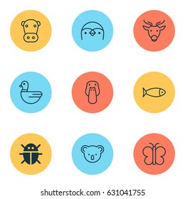 Nature Icons Set. Collection Of Goose, Moth, Diver And Other Elements. Also Includes Symbols Such As Beetle, Marsupial, Diver.