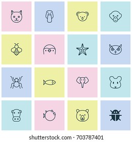 Nature Icons Set. Collection Of Grizzly, Kitten, Marsupial And Other Elements. Also Includes Symbols Such As Bee, Butterflyfish, Baboon.