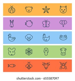 Nature Icons Set. Collection Of Kitten, Marsupial, Kine And Other Elements. Also Includes Symbols Such As Rabbit, Honey, Monkey.