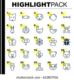 Nature Icons Set. Collection Of Ladybird, Rat, Seafood Skeleton And Other Elements. Also Includes Symbols Such As Toad, Globefish, Insect.