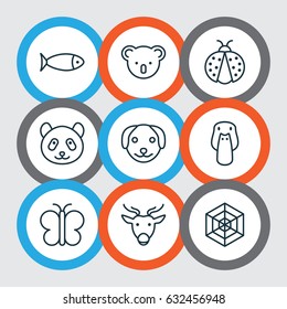 Nature Icons Set. Collection Of Moose, Fish, Bear And Other Elements. Also Includes Symbols Such As Cobweb, Puppy, Goose.