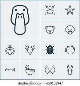 Nature Icons Set. Collection Of Moose, Butterflyfish, Spider And Other Elements. Also Includes Symbols Such As Moose, Arachnid, Insect.