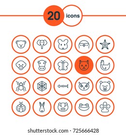 Nature Icons Set. Collection Of Night Fowl, Ladybird, Trunked Animal And Other Elements. Also Includes Symbols Such As Sea, Star, Mouse.
