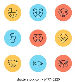 Nature Icons Set. Collection Of Piglet, Bear, And Other Elements. Also Includes Symbols Such As Piggy, Marsupial, Fowl.