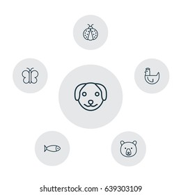 Nature Icons Set. Collection Of Puppy, Hen, Moth And Other Elements. Also Includes Symbols Such As Panda, Aquarium, Hen.
