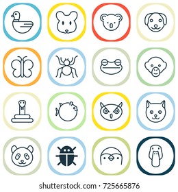 Nature Icons Set. Collection Of Puppy, Marsupial, Rat And Other Elements. Also Includes Symbols Such As Beetle, Animal, Reptile.