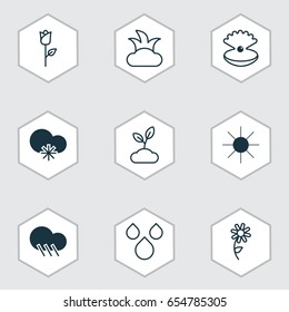 Nature Icons Set. Collection Of Raindrop, Bush, Seashell And Other Elements. Also Includes Symbols Such As Snowy, Water, Sunlight.