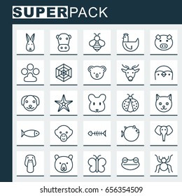 Nature Icons Set. Collection Of Rat, Seafood Skeleton, Starfish And Other Elements. Also Includes Symbols Such As Hare, Puppy, Kitten.