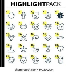 Nature Icons Set. Collection Of Rat, Kitten, Serpent And Other Elements. Also Includes Symbols Such As Monkey, Bug, Moose.