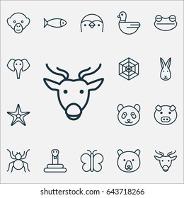 Nature Icons Set. Collection Of Spider, Grizzly, Diver And Other Elements. Also Includes Symbols Such As Hare, Arachnid, Elephant.