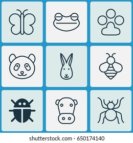 Nature Icons Set. Collection Of Spider, Kine, Bear And Other Elements. Also Includes Symbols Such As Panda, Butterfly, Arachnid.