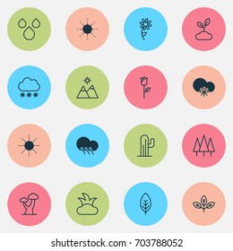Nature Icons Set. Collection Of Sunshine, Bush, Sun And Other Elements. Also Includes Symbols Such As Snowy, Landscape, Sprout.