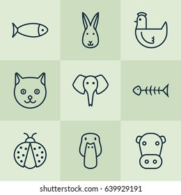 Nature Icons Set. Collection Of Trunked Animal, Kitten, Duck And Other Elements. Also Includes Symbols Such As Bunny, Milk, Hare.