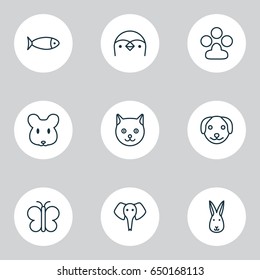 Nature Icons Set. Collection Of Trunked Animal, Kitten, Puppy And Other Elements. Also Includes Symbols Such As Penguin, Diver, Seafood.