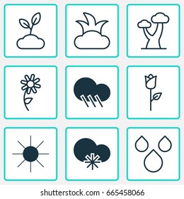 Nature Icons Set. Collection Of Water Drops, Oak, Plant And Other Elements. Also Includes Symbols Such As Drop, Bush, Wood.