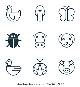 Nature icons set with cow, pig, duck and other hen elements. Isolated vector illustration nature icons.