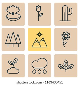 Nature icons set with daisy, pearl, sprout and other cactus elements. Isolated vector illustration nature icons.