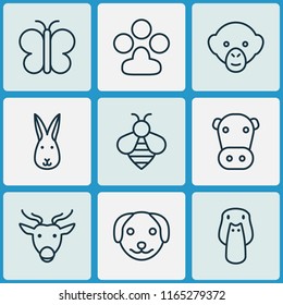 Nature icons set with dog, bee, paw and other moose elements. Isolated vector illustration nature icons.