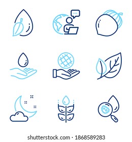 Nature icons set. Included icon as Water analysis, Water drop, Night weather signs. Safe planet, Acorn, Leaf symbols. Gluten free line icons. Aqua bacteria, Mint leaf. Line icons set. Vector