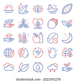 Nature icons set. Included icon as Cocoa nut, Organic tested, Soy nut signs. Tree, Travel sea, Refill water symbols. Mint leaves, Environment day, Leaves. Cloudy weather, Local grown, Leaf. Vector