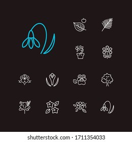 Nature icons set. Jasmine and nature icons with viola, cherry blossom and geranium. Set of calla for web app logo UI design.