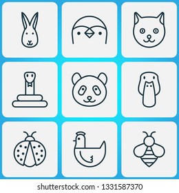 Nature icons set with ladybug, chicken, cat and other bumblebee elements. Isolated vector illustration nature icons.
