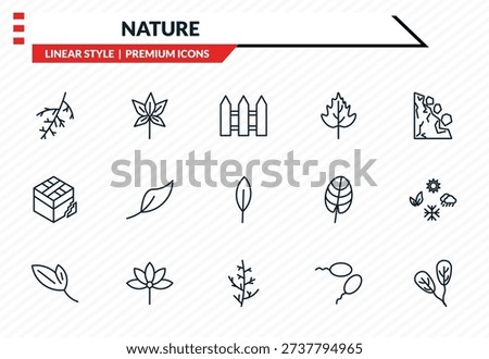 nature icons set - larch leaf, chestnut leaf, damaged, cypress leaf, obovate outline vector collection.