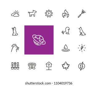 Nature icons. Set of  line icons. Butterfly, earth, cock. Environment concept. Vector illustration can be used for topics like ecology, climate, flora and fauna