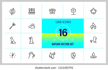 Nature icons. Set of  line icons. Butterfly, earth, cock. Environment concept. Vector illustration can be used for topics like ecology, climate, flora and fauna