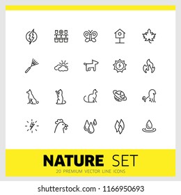 Nature icons. Set of  line icons. Butterfly, earth, cock. Environment concept. Vector illustration can be used for topics like ecology, climate, flora and fauna